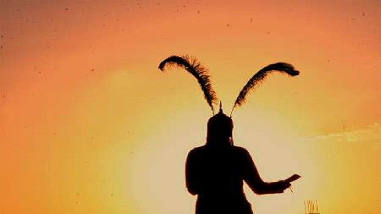 Wp Header Logo 477.png