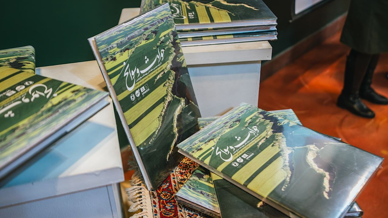 Wp Header Logo 452.png