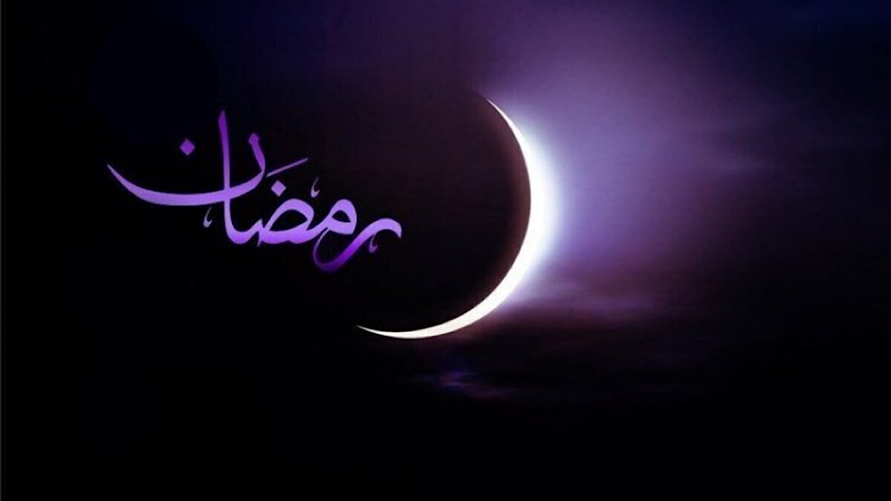 Wp Header Logo 564.png