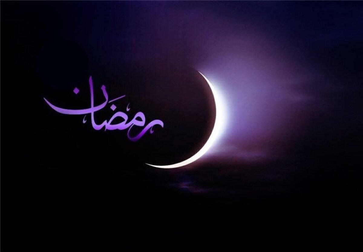 Wp Header Logo 626.png