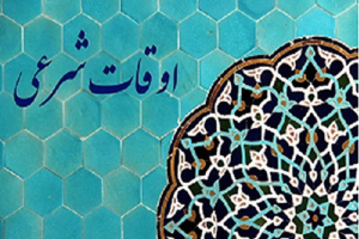 Wp Header Logo 781.png