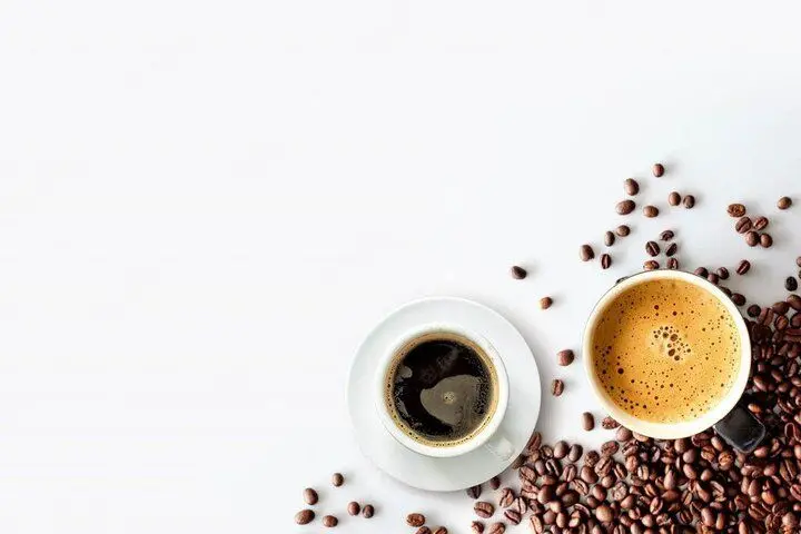 Wp Header Logo 2401.png