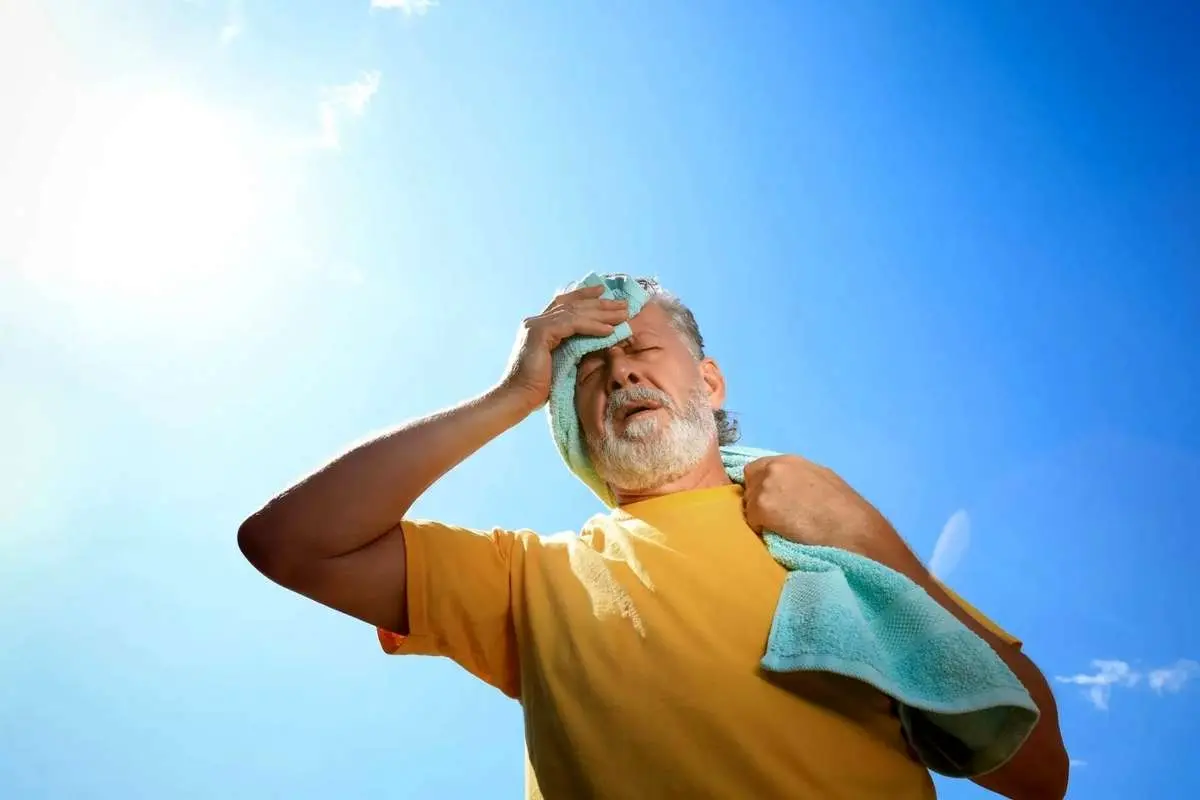 Wp Header Logo 3373.png