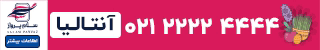 Wp Header Logo 2486.png
