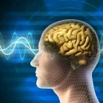 این ترکیب غذایی سبب تقویت مغز می‌شود