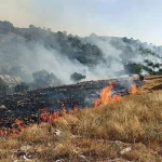 آتش‌ سوزی طالقان مهار شد