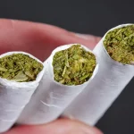 دلایل گرایش نوجوانان به مصرف «گل» چیست؟ نتایج یک تحقیق میدانی جدید