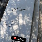 تصویری از سینا مهراد بر سر مزار امین تارخ