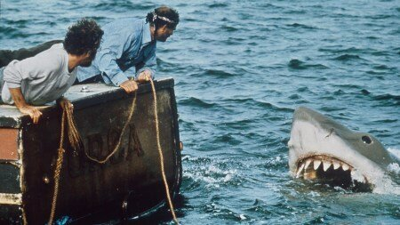 Wp Header Logo 135.png