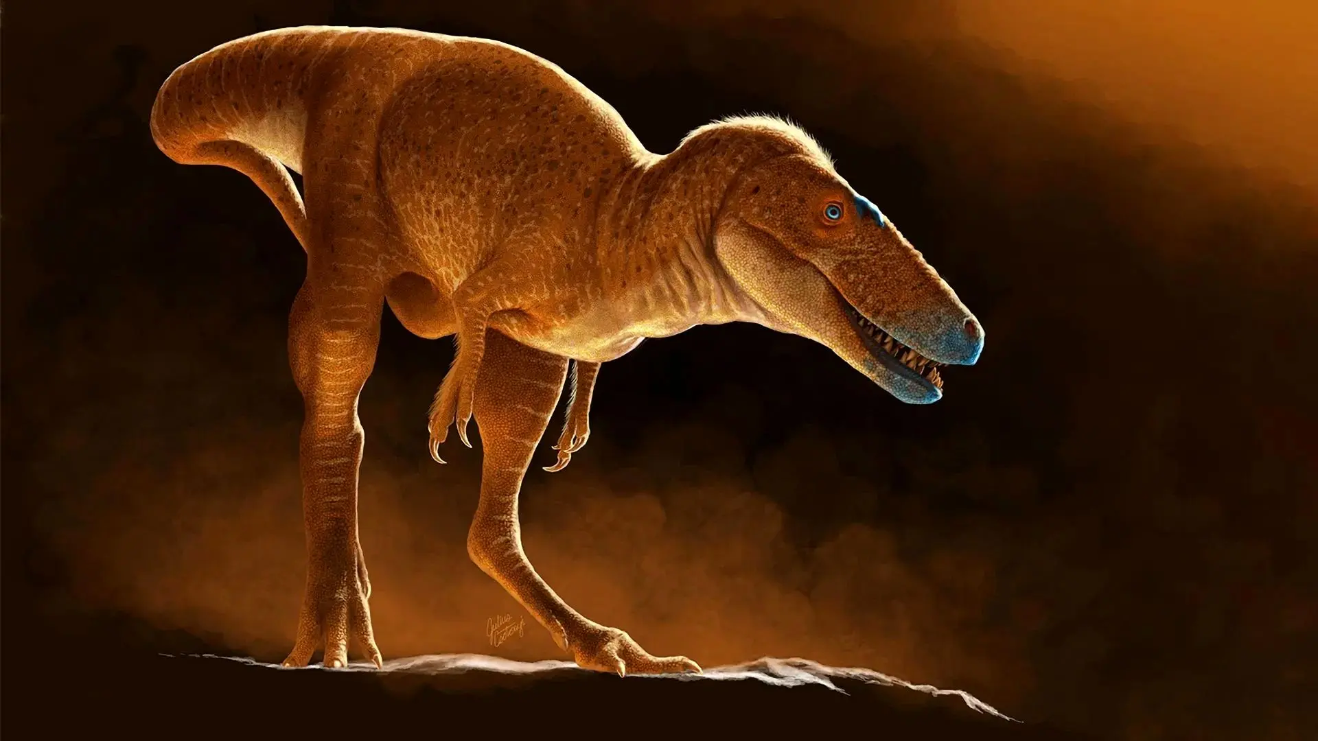 Wp Header Logo 1600.png