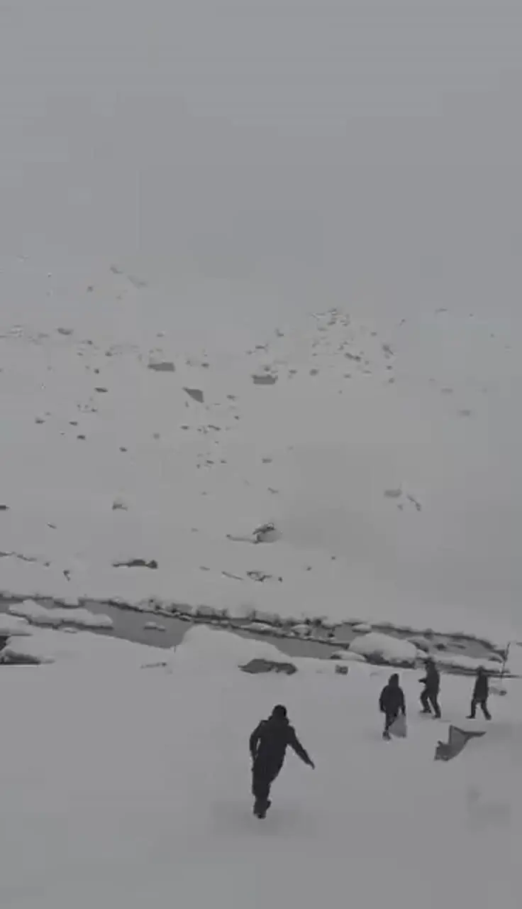 Wp Header Logo 1665.png