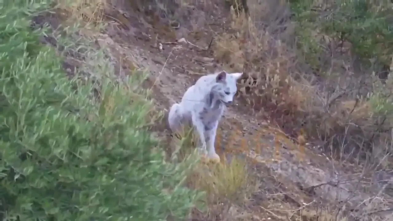 Wp Header Logo 1704.png