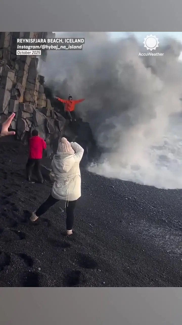 Wp Header Logo 5.png