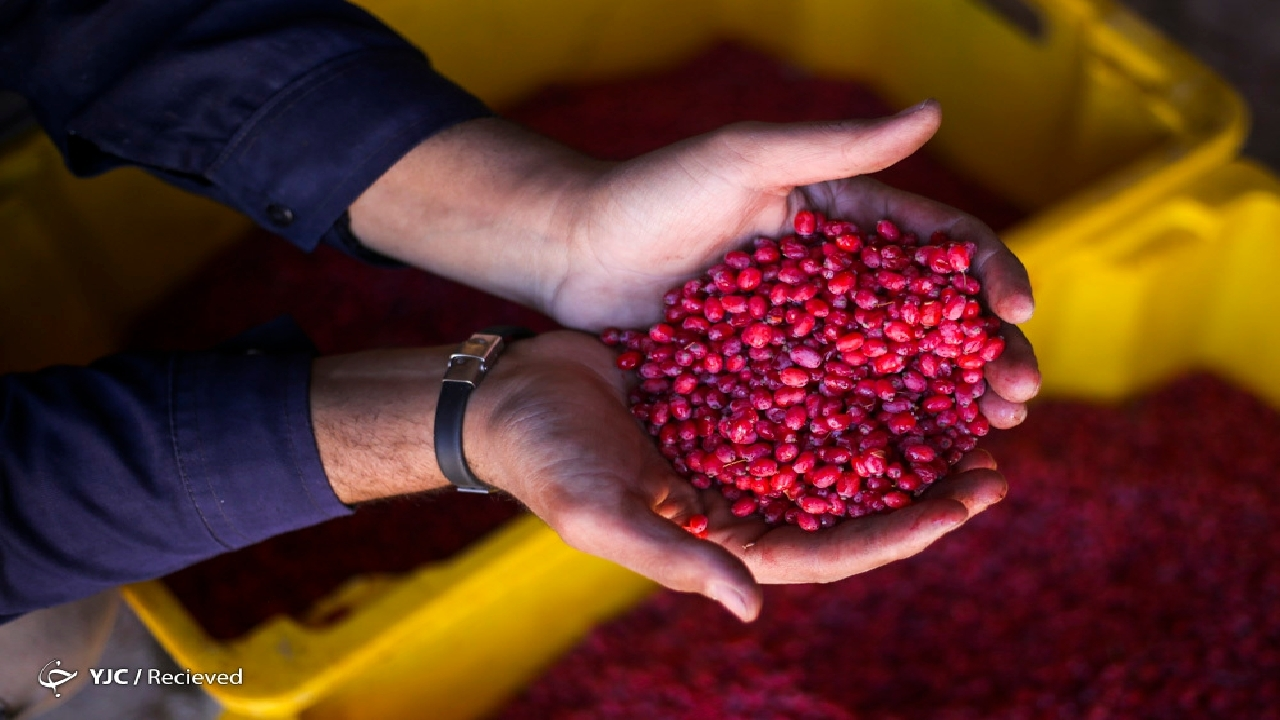 Wp Header Logo 1057.png