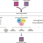 گام جدید محققان دانشگاه تهران در تحلیل داده‌های زیستی و تصاویر پاتولوژی