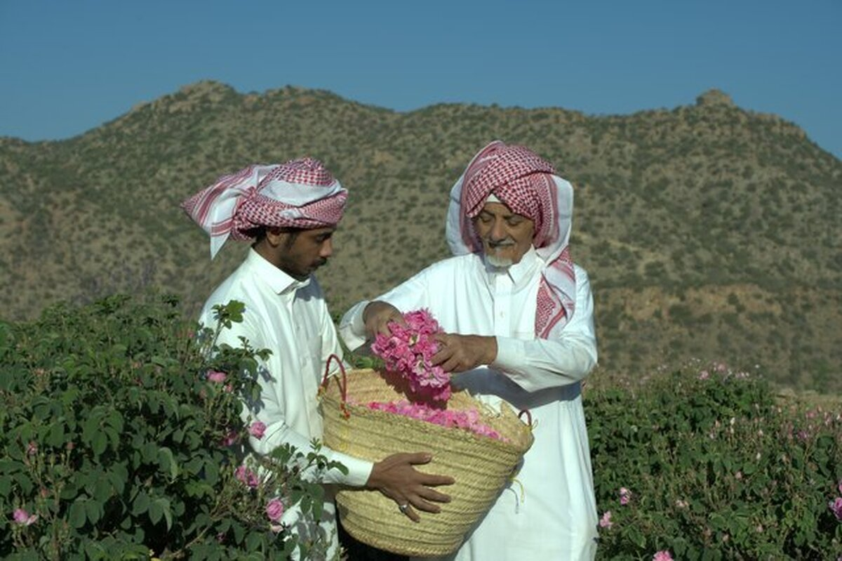 Wp Header Logo 1558.png