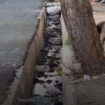 امام جمعه دست به بیل شد!