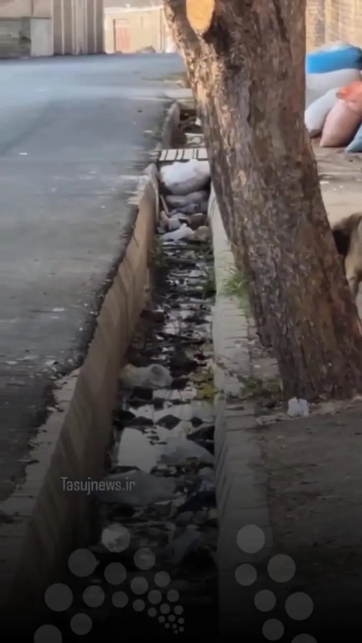 Wp Header Logo 1747.png