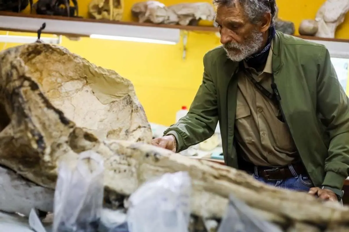 Wp Header Logo 2316.png