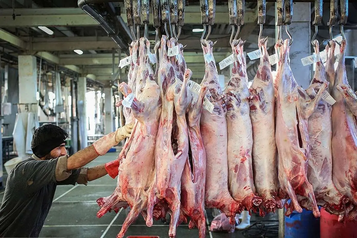 Wp Header Logo 2319.png