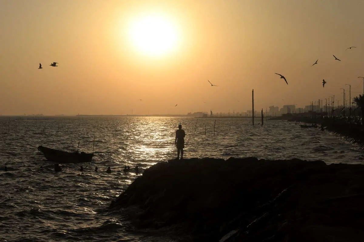 Wp Header Logo 260.png