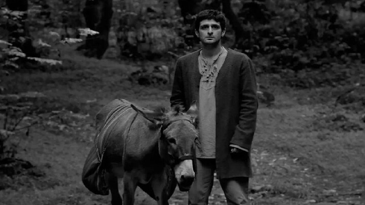 Wp Header Logo 2877.png