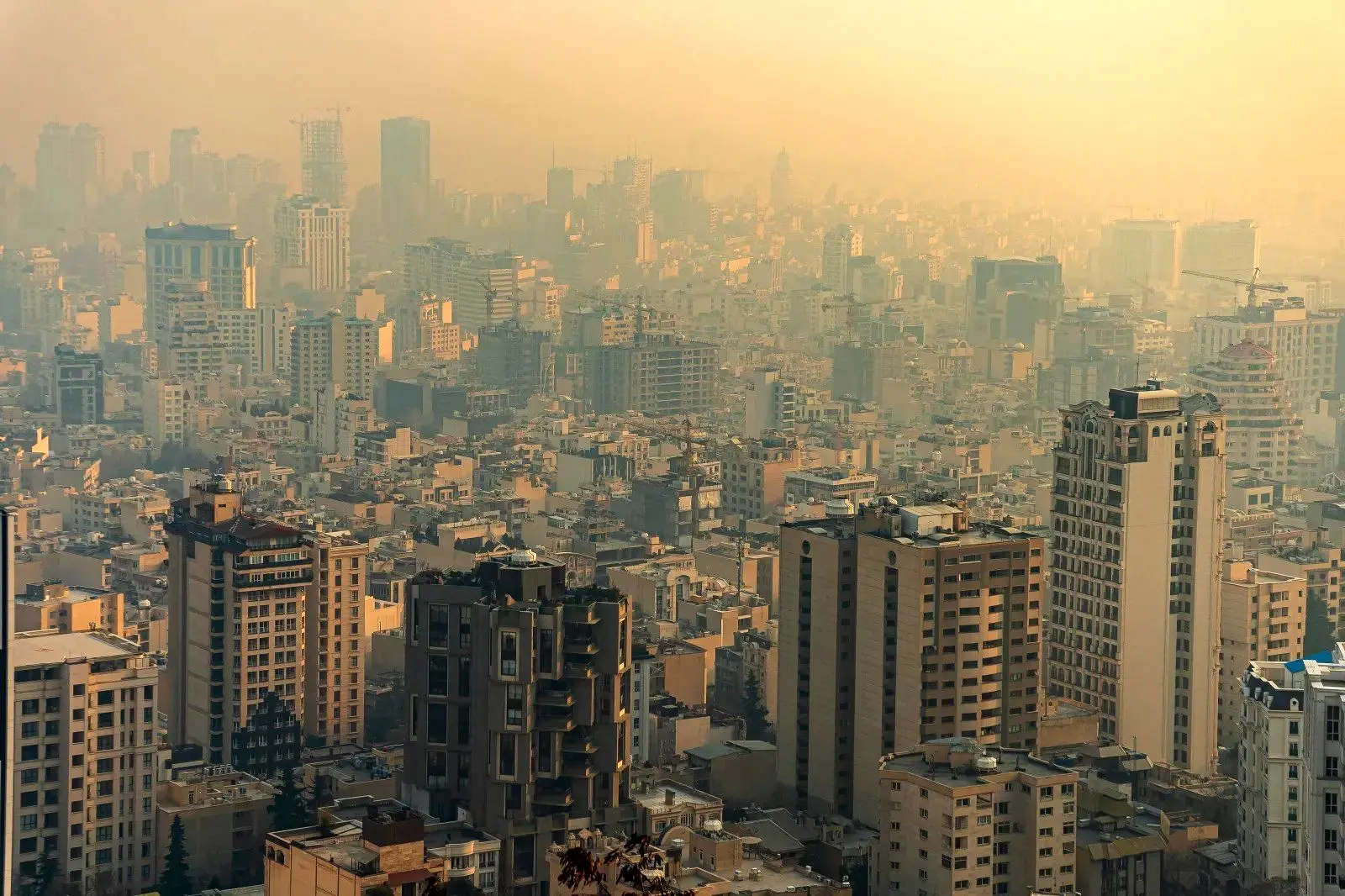 Wp Header Logo 2901.png