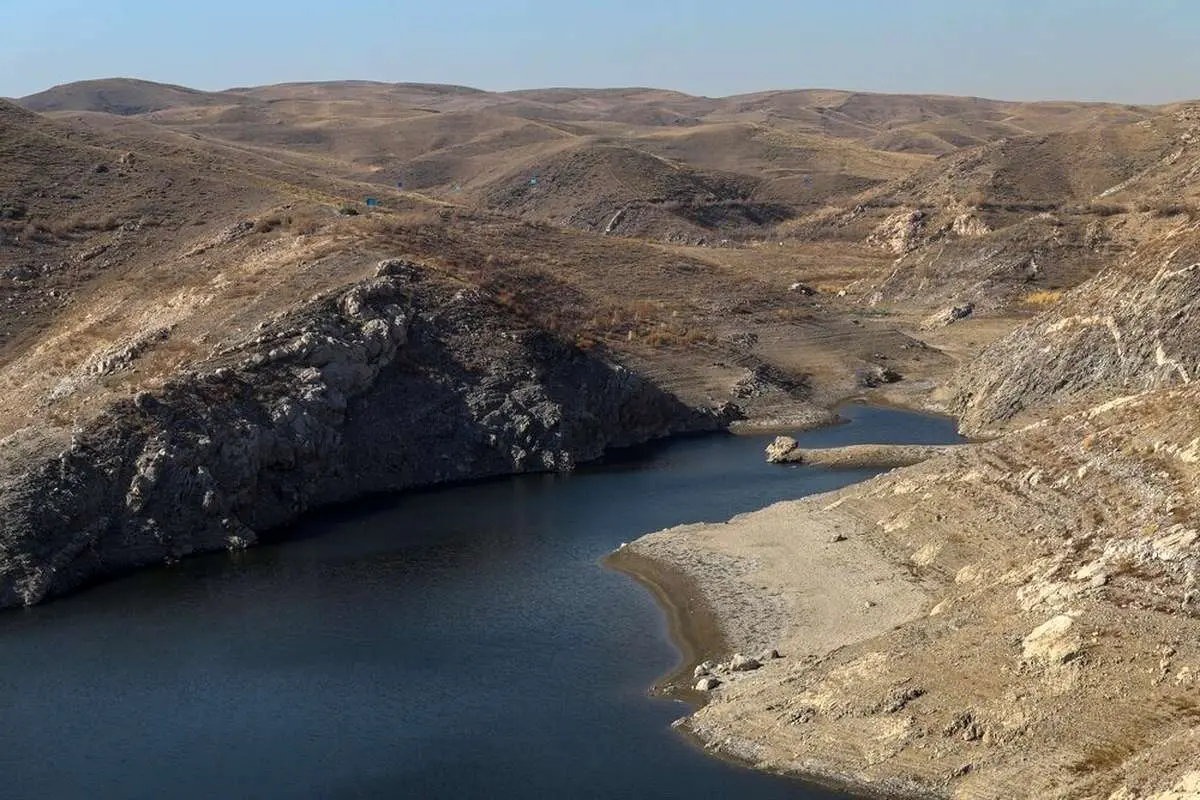 Wp Header Logo 3207.png