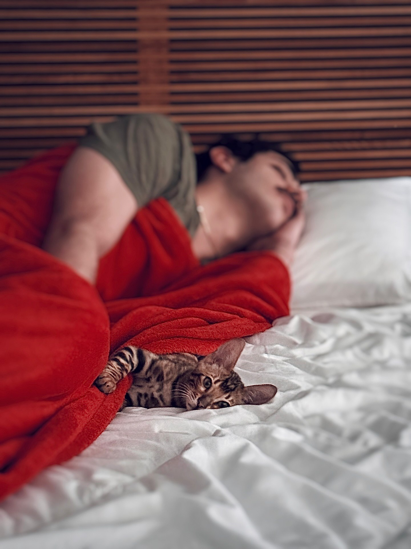 Wp Header Logo 3589.png