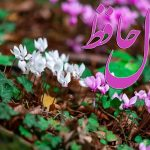 فال حافظ برای امروز  ۱۰ آبان ۱۴۰۴