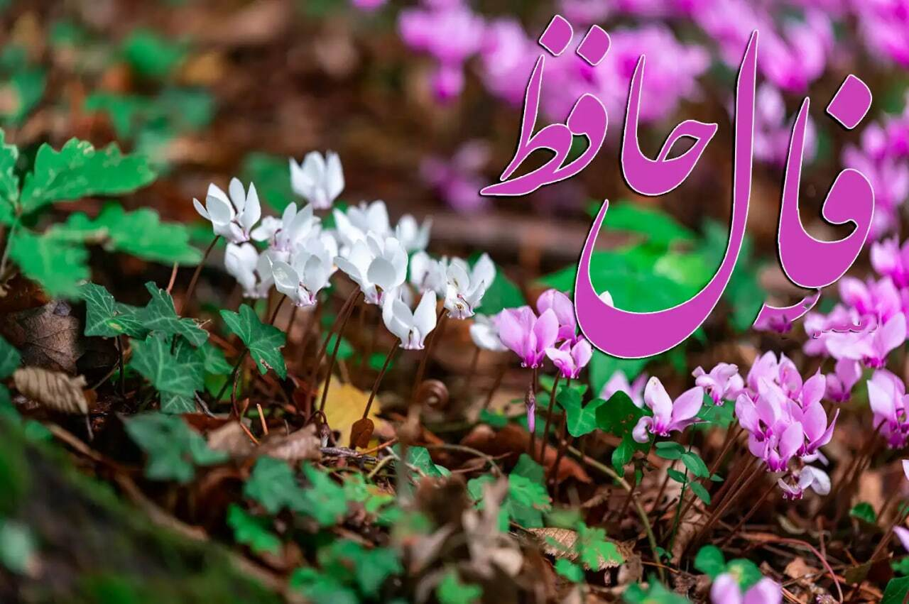 Wp Header Logo 65.png