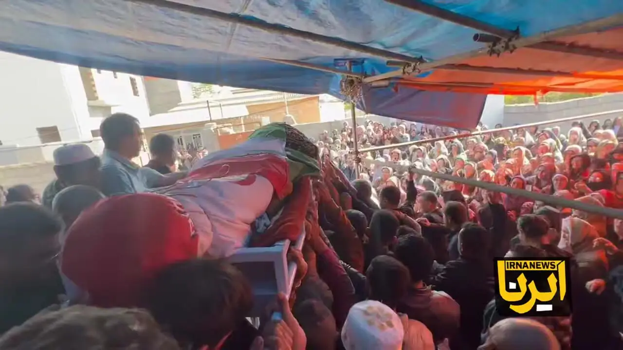 Wp Header Logo 712.png