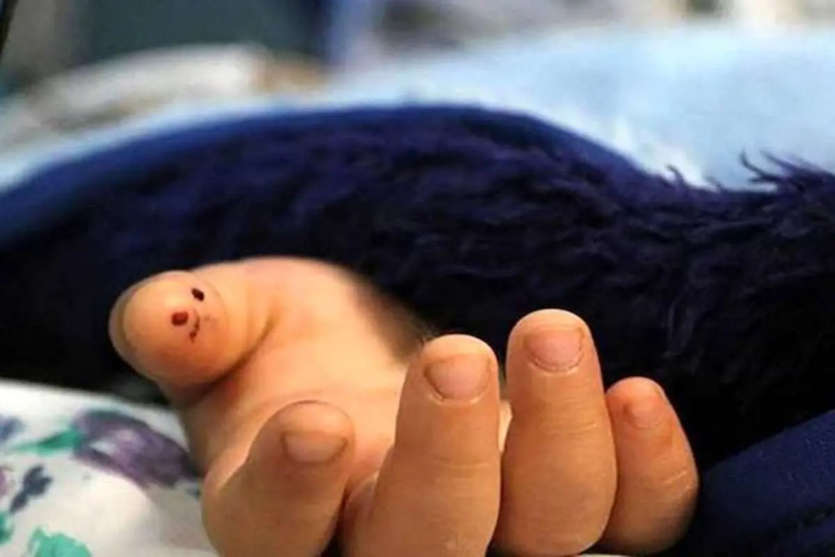 Wp Header Logo 847.png