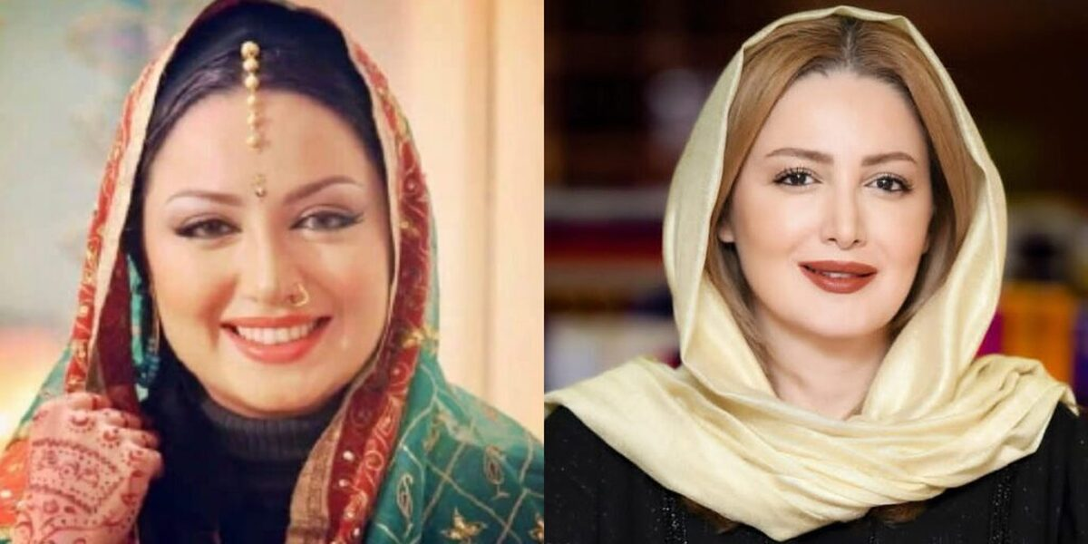 Wp Header Logo 876.png