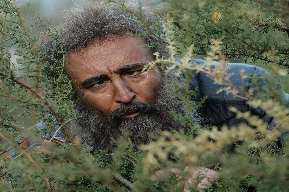 Wp Header Logo 991.png