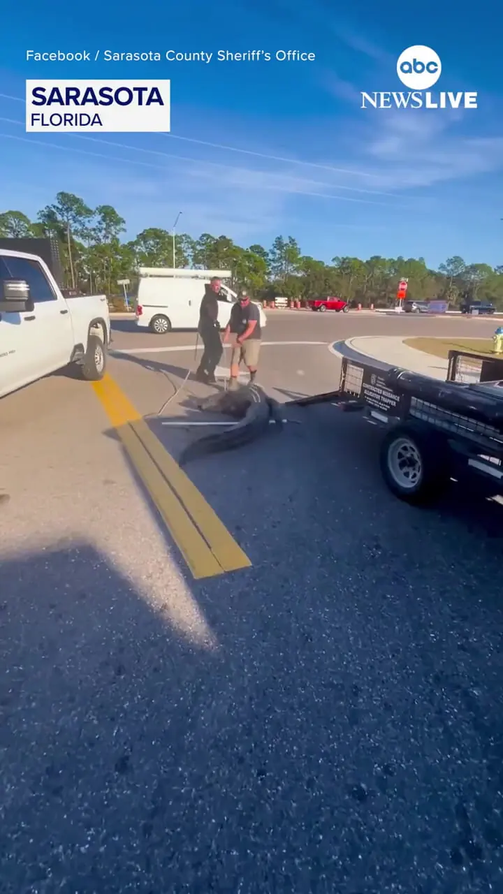 Wp Header Logo 1153.png