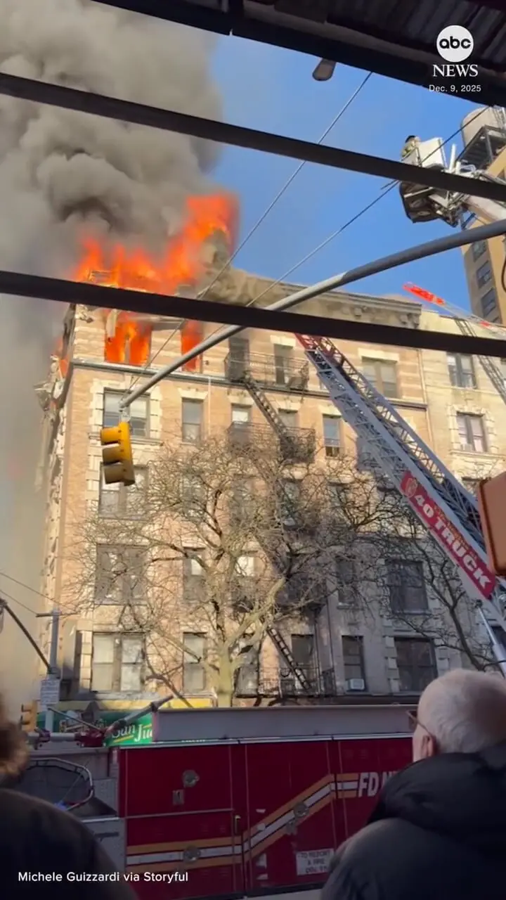 Wp Header Logo 1165.png