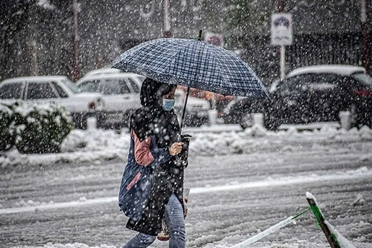 Wp Header Logo 2149.png