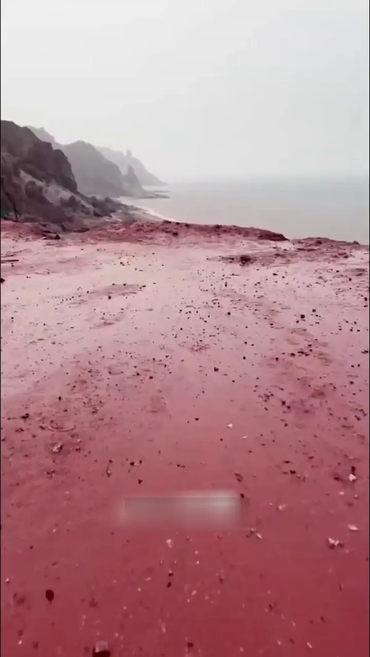 Wp Header Logo 2150.png