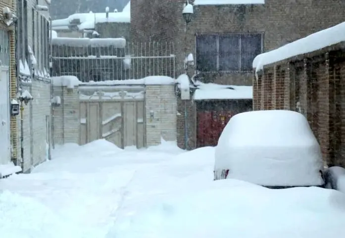 Wp Header Logo 2323.png