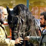 «ناتور دشت» در جشنواره بین‌المللی فیلم باکو به نمایش درمی‌آید