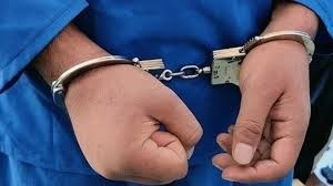 Wp Header Logo 2510.png