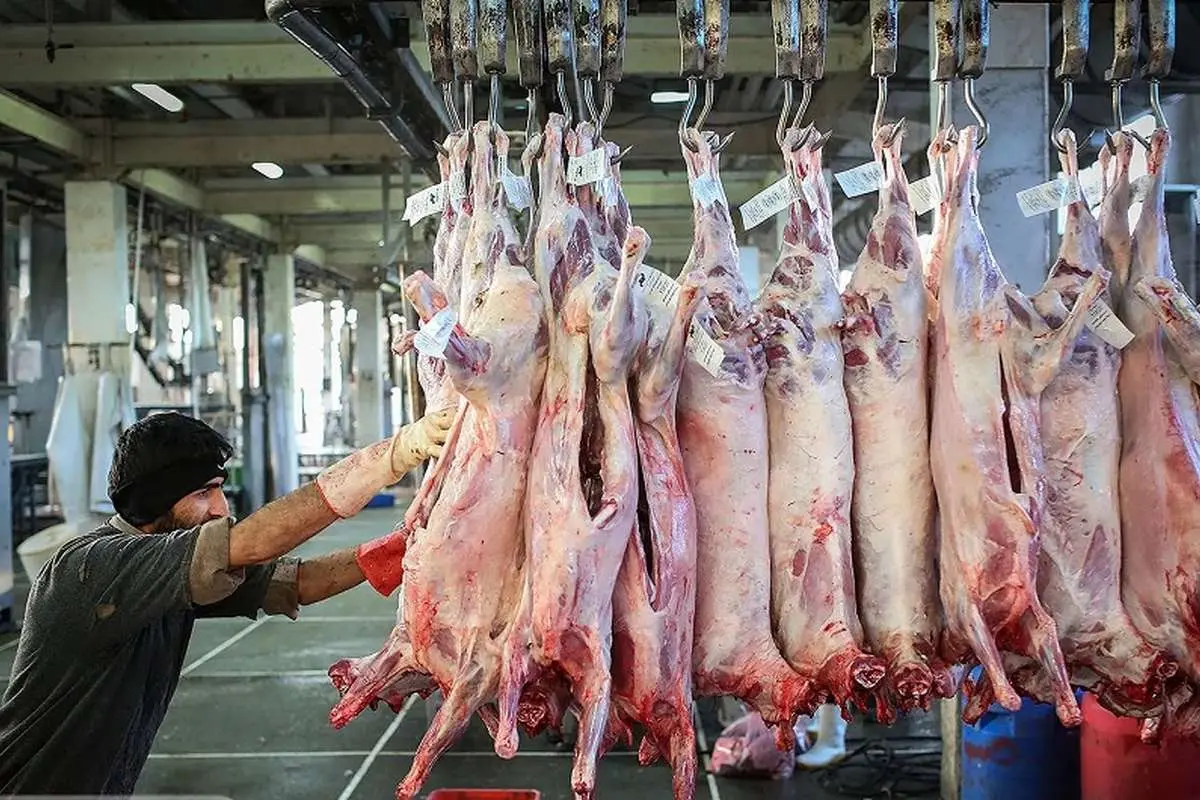 Wp Header Logo 2580.png