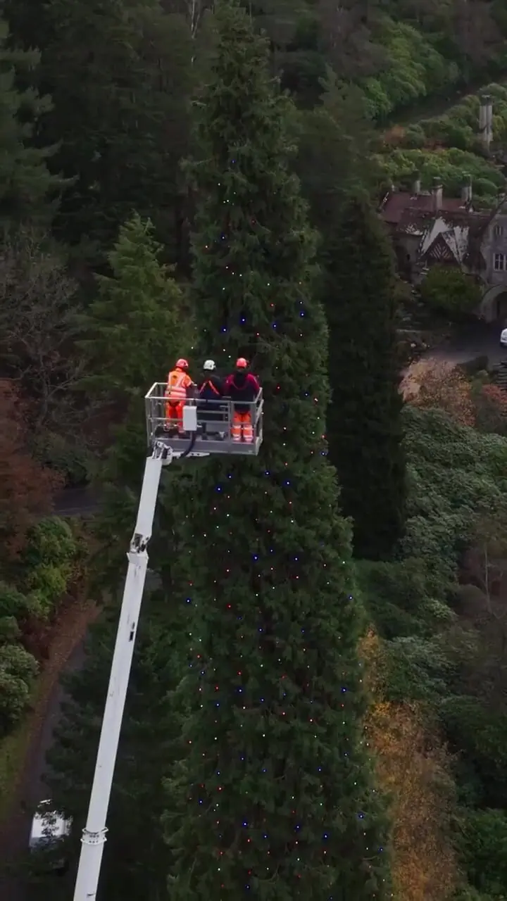 Wp Header Logo 2624.png