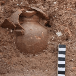 کشف کوزه سفالی دوره ساسانی در دشتستان+ فیلم