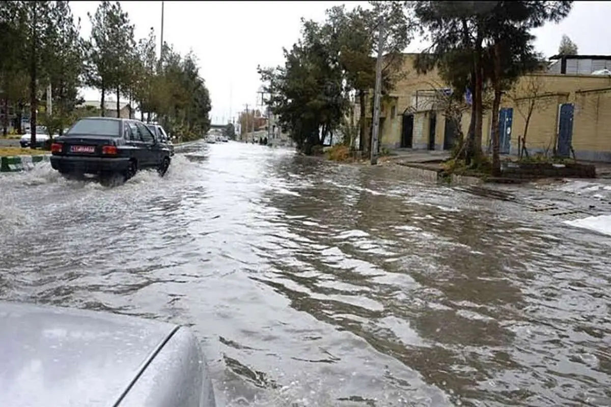 Wp Header Logo 307.png