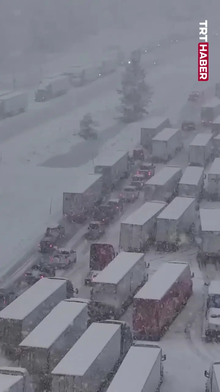 Wp Header Logo 3123.png