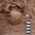 ماجرای کشف کوزه ساسانی پر از طلا در بوشهر