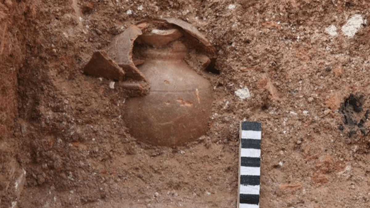 Wp Header Logo 3173.png