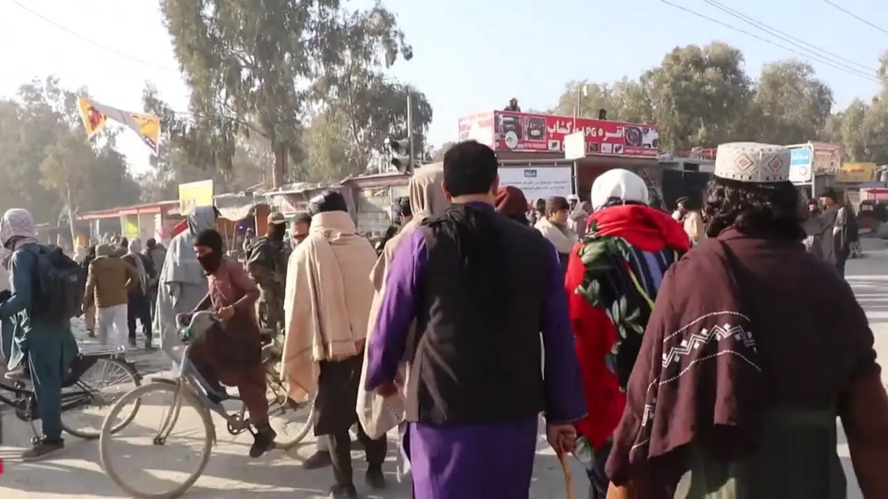 Wp Header Logo 321.png